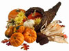 fall_produce_gourds